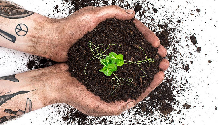 Hand med tatuerade armar håller i jord där det växer grönt ur