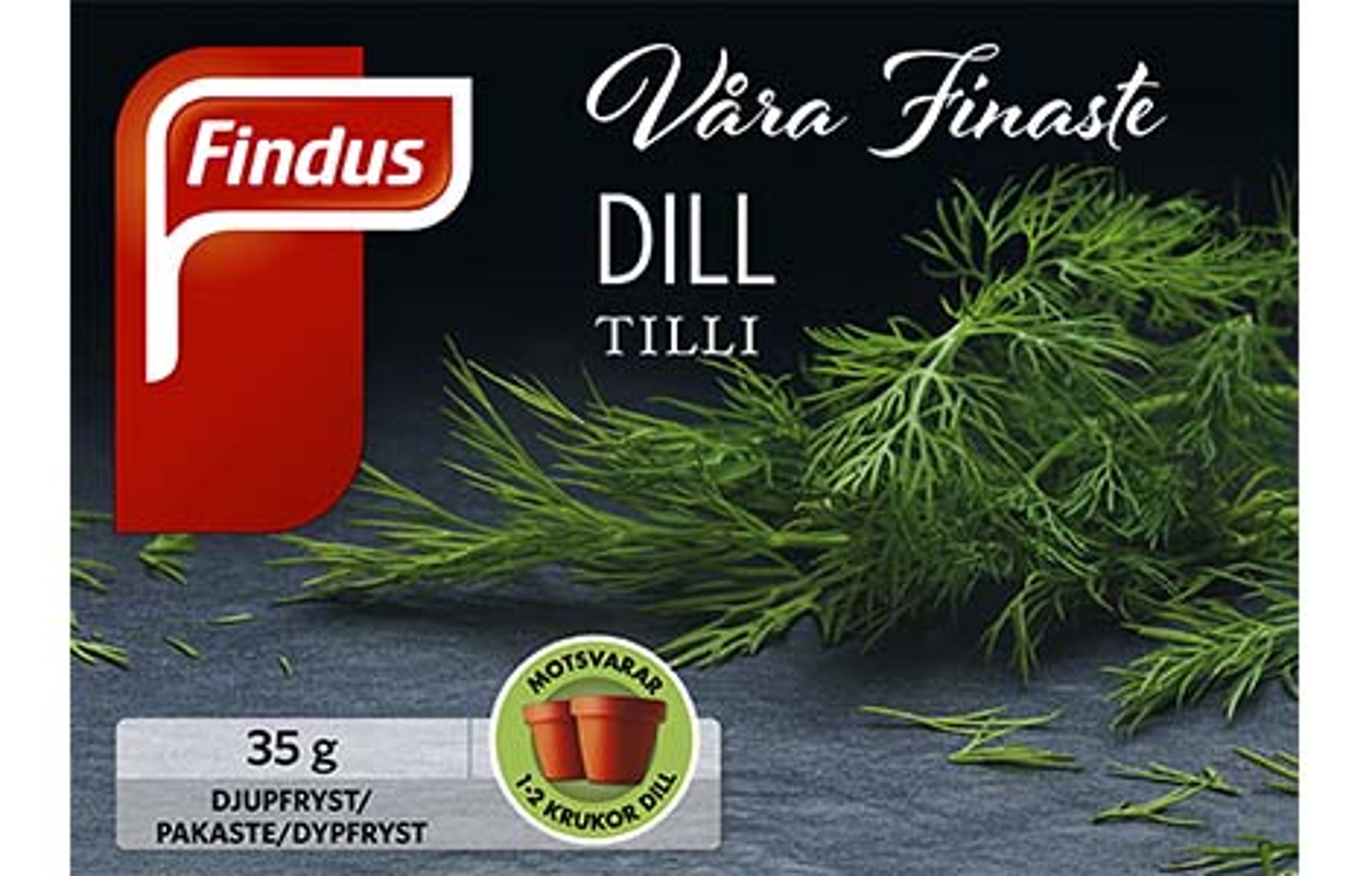 dill_ny.jpg