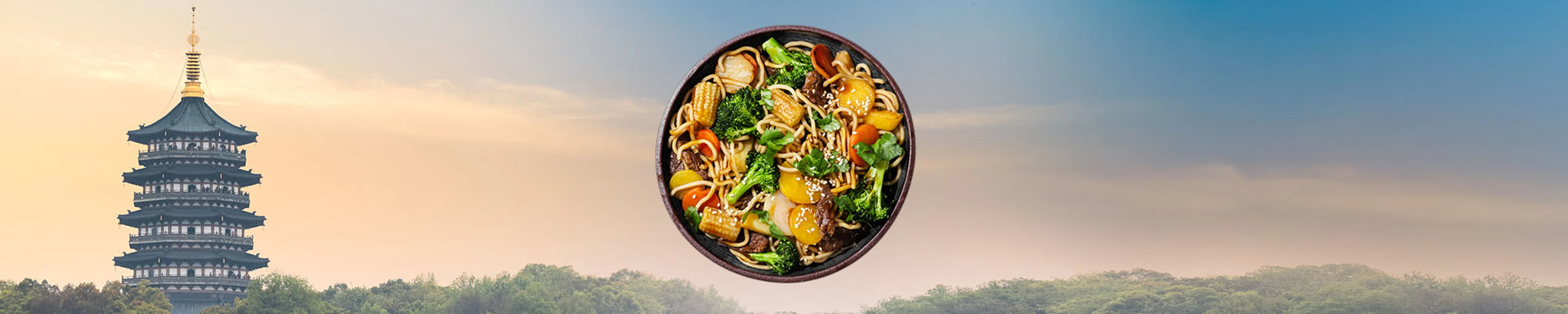 SE-WOK-category-2000x400px-Classic-850g.jpg